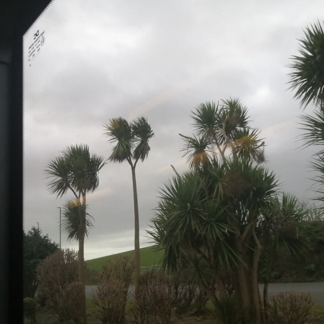 IMG_20200204_140118_264